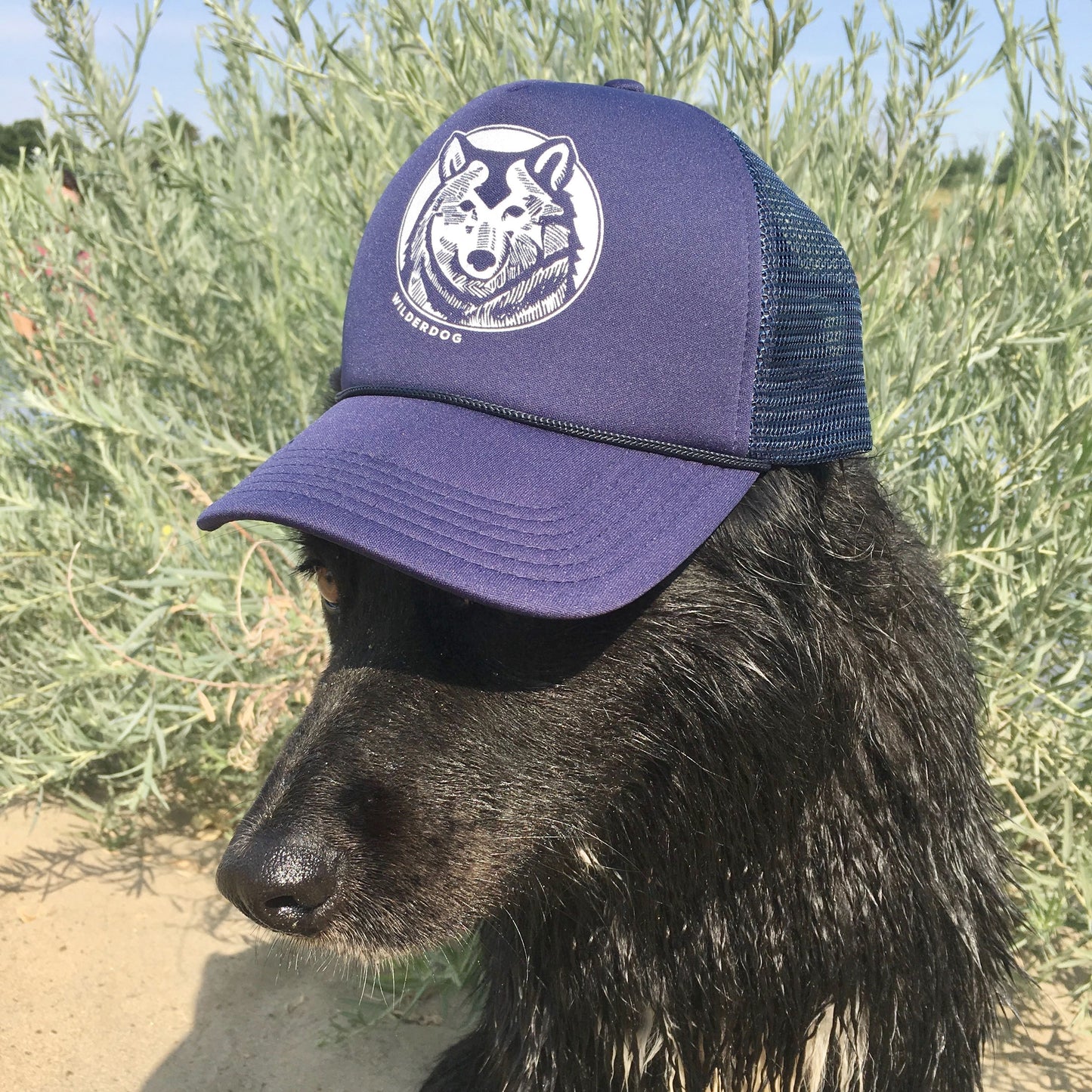 Mesh Trucker Hat