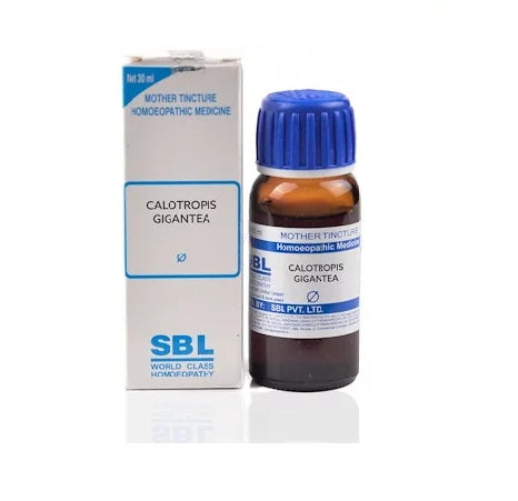 Calotropis Gigantea Homeopathy Mother Tincture Q
